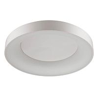 потолочный светодиодный светильник odeon light sole 4062/80cl в Твери