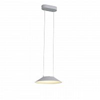 подвесной светодиодный светильник st luce pitto sl427.503.01 в Твери