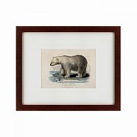 картина: white polar bear on an ice, 1830 в Твери