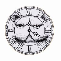 тарелка кот на циферблате в Твери