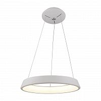 подвесной светодиодный светильник arte lamp a6250sp-1wh в Твери