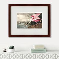 картина: roseate spoonbill, 1827 в Твери