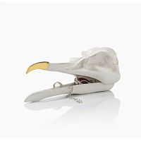 шкатулка для украшений bird skull (белый) в Твери