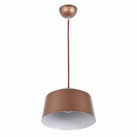 подвесной светильник arti lampadari tempo e 1.3.p1 br в Твери