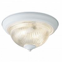 потолочный светильник arte lamp aqua a9370pl-2wh в Твери