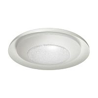 потолочный светодиодный светильник odeon light benso 4623/48cl в Твери