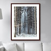 картина: forest, upper austria в Твери