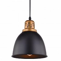 подвесной светильник arte lamp eurica a4245sp-1bk в Твери