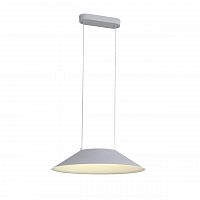 подвесной светодиодный светильник st luce pitto sl427.513.01 в Твери