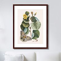 картина: beauty bloom №3, 1732г. в Твери
