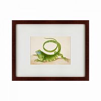 картина: green iguana, 1701 в Твери