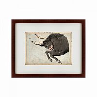 картина: signs of zodiac taurus, 1825 в Твери