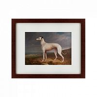 картина: portrait of a greyhound, 1744 в Твери