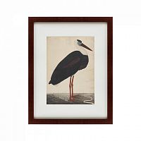 картина: black stork in a landscape, индия, 1780 в Твери
