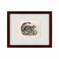 картина: the squirrel, 1879 в Твери