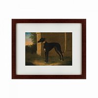 картина: portrait of a greyhound called pompon, 1746 в Твери