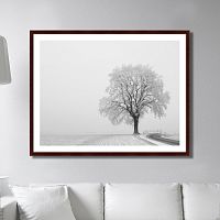 картина: the white kingdom в Твери
