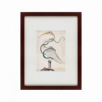 картина: heron encircled by a snake, 1700 в Твери