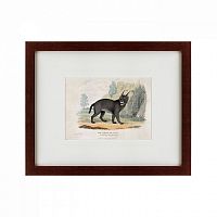 картина: a caracal or lynx, 1830 в Твери