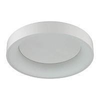 потолочный светодиодный светильник odeon light sole 4062/50cl в Твери