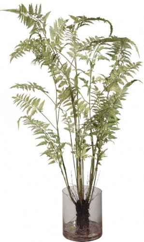 декор fern в Твери