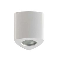 потолочный светильник odeon light aquana 3574/1c в Твери