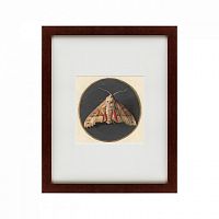 картина: owlet moth, 1700 в Твери